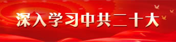 深入學(xué)習(xí)中共二十大
