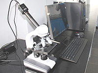 �w�S���ȷ���ʽ